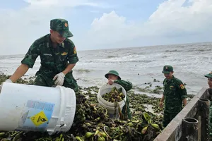 Xã Hồ Tràm ra quân thu gom lục bình và rác đại dương