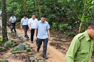 Núi Minh Đạm có nhiều điều kiện thuận lợi để phát triển vùng trồng dược liệu
