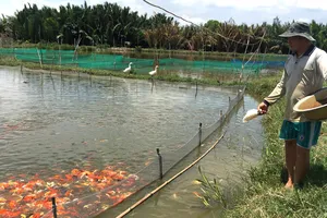 Sức sống mới ở xã vùng ven Bình Lợi 