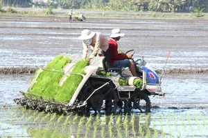 Nhân rộng canh tác lúa thông minh