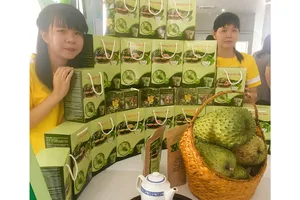 Thu nhập ổn định nhờ mãng cầu Xiêm được bao tiêu 