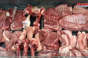 Điểm tin SGGP Online ngày 26-12-2019