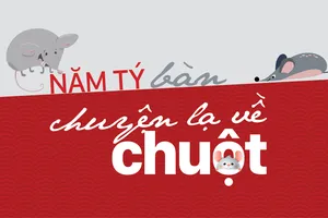 Năm Tý bàn chuyện lạ về chuột