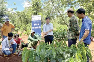 Syngenta cam kết đầu tư 2 tỷ USD vào nông nghiệp bền vững  