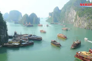 Điểm tin SGGP Online ngày 25-11-2020