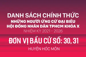Đơn vị bầu cử số: 30, 31 (huyện Hóc Môn)