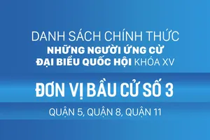 Đơn vị bầu cử số 3 (quận 5, quận 8, quận 11)