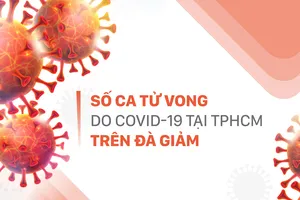 Số ca tử vong do Covid-19 tại TPHCM trên đà giảm