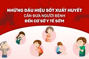Sốt xuất huyết: Thấy 6 dấu hiệu này, đưa người bệnh đến cơ sở y tế gấp