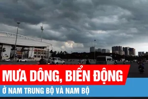 Nam Trung bộ và Nam bộ có mưa dông, biển động mạnh