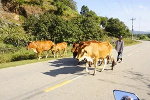 Podcast Bản tin trưa 21-5: Nắng nóng từ Thanh Hóa đến Phú Yên