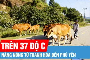Nhiều khu vực có mưa lớn, nắng nóng từ Thanh Hóa đến Phú Yên