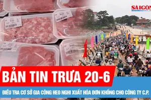 Bản tin trưa 20-6: Nối lại cầu phao Phong Châu; Điều tra cơ sở gia công heo nghi xuất hóa đơn khống cho C.P.