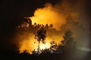 Podcast bản tin trưa 1-7: Trắng đêm dập đám cháy dữ dội trên rừng Bạch đàn