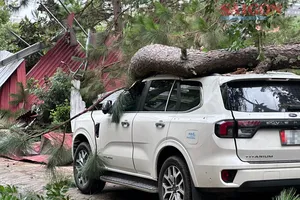 Podcast tin trưa 21-7: Danh sách các chuyến bay bị hoãn, hủy do bão Wipha | Mưa kèm gió lớn làm nhiều cây xanh ngã đè ô tô ở Xuân Hương - Đà Lạt