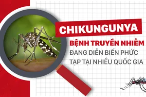Chikungunya - Bệnh truyền nhiễm đang diễn biến phức tạp tại nhiều quốc gia