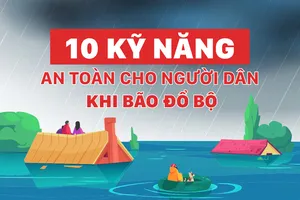 10 kỹ năng an toàn khi bão đổ bộ 