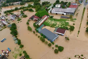 Khẩn trương tái thiết môi trường sống