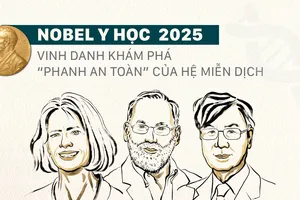 Nobel Y học 2025 vinh danh khám phá “phanh an toàn” của hệ miễn dịch