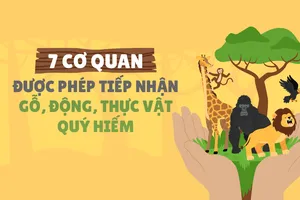 7 cơ quan được phép tiếp nhận gỗ, động, thực vật quý hiếm