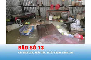 Podcast tin 17 GIỜ 6-11: Kalmaegi là cơn bão mạnh nhất từ trước đến nay ở Nam Trung bộ