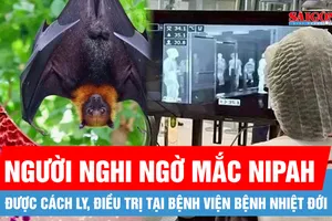 TPHCM: Người nghi ngờ mắc Nipah sẽ được cách ly, điều trị tại Bệnh viện Bệnh Nhiệt đới
