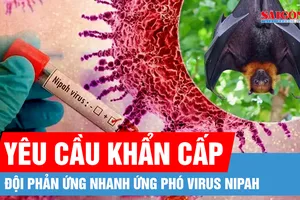Bộ Y tế yêu cầu khẩn cấp củng cố các đội phản ứng nhanh ứng phó virus Nipah