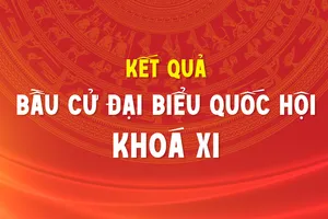 Kết quả bầu cử đại biểu Quốc hội khóa XI
