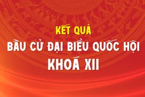 Kết quả bầu cử đại biểu Quốc hội khóa XII