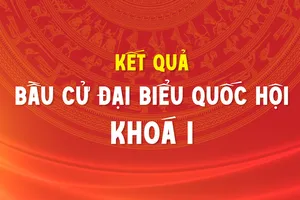 Kết quả bầu cử đại biểu Quốc hội khóa I