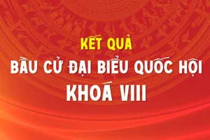Kết quả bầu cử đại biểu Quốc hội khóa VIII