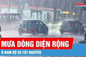 Mưa dông diện rộng ở Nam bộ và Tây Nguyên