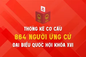 Thống kê cơ cấu 864 người ứng cử Đại biểu Đại biểu Quốc hội khóa XVI 