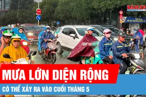 Nam bộ sắp có mưa lớn diện rộng