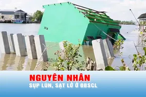 Podcast tin chiều 12-5: Nguyên nhân chính gây sạt lở tại ĐBSCL là gì? 