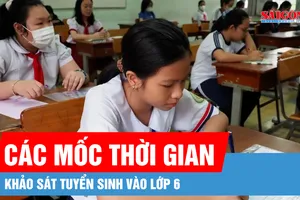 TPHCM: Thời gian và cấu trúc đề khảo sát tuyển sinh lớp 6 Trường Trần Đại Nghĩa