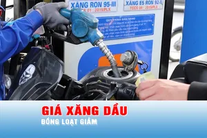 Podcast bản tin chiều 14-5: Giá xăng dầu đồng loạt giảm