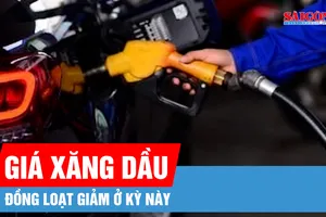 Giá xăng dầu đồng loạt giảm