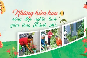 Những hẻm hoa rộng đẹp nghĩa tình giữa lòng Thành phố