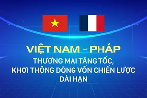 Việt Nam - Pháp: Thương mại tăng tốc, khơi thông dòng vốn chiến lược dài hạn