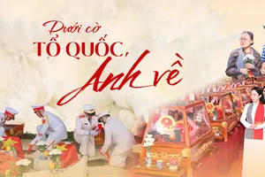 Dưới cờ Tổ quốc, Anh về