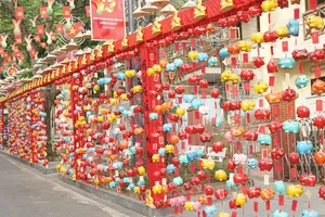 Hàng ngàn heo đất trang trí tạo nét độc đáo 