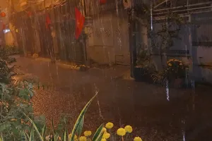 Mưa trái mùa ở TPHCM kéo dài thêm 2-3 ngày