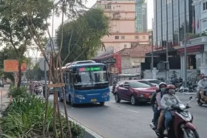 Trồng mới 9 cây lim xẹt trên đường Nguyễn Thị Minh Khai