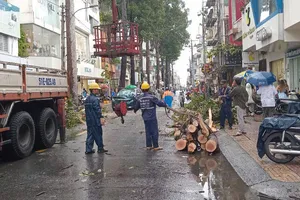 TPHCM chủ động ứng phó ảnh hưởng của bão số 3 (Wipha)