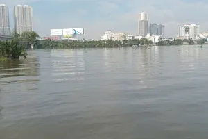 Chủ động phương án ứng phó đợt triều cường cao