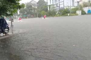 TPHCM chủ động các phương án ứng phó với bão số 12