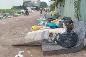 Tuyến đường D3, khu dân cư Caric, phường An Khánh trước khi PV báo SGGP phản ánh. Ảnh: MINH HẢI