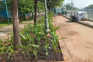 Sau phản ánh của Báo SGGP, Công viên Phạm Văn Chí đã sạch, đẹp