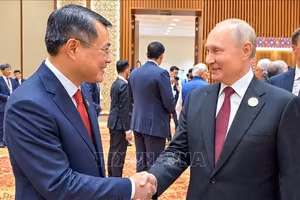 越南政府总理黎明兴会见俄罗斯总统普京。 图自越通社